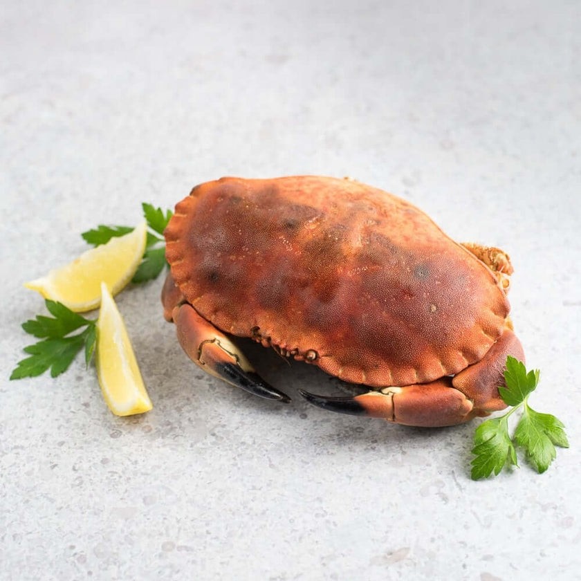 Whole Cooked European Brown Crab