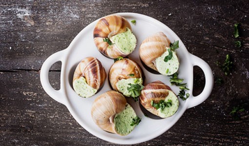 12 Snails (Escargots) Extra Large in Shell with Garlic & Parsley 