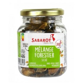 Dried mixed forest mushrooms by Sabarot
